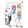 A Sister's All You Need., Vol. 13 (Light Novel): Volume 13 - Paperback