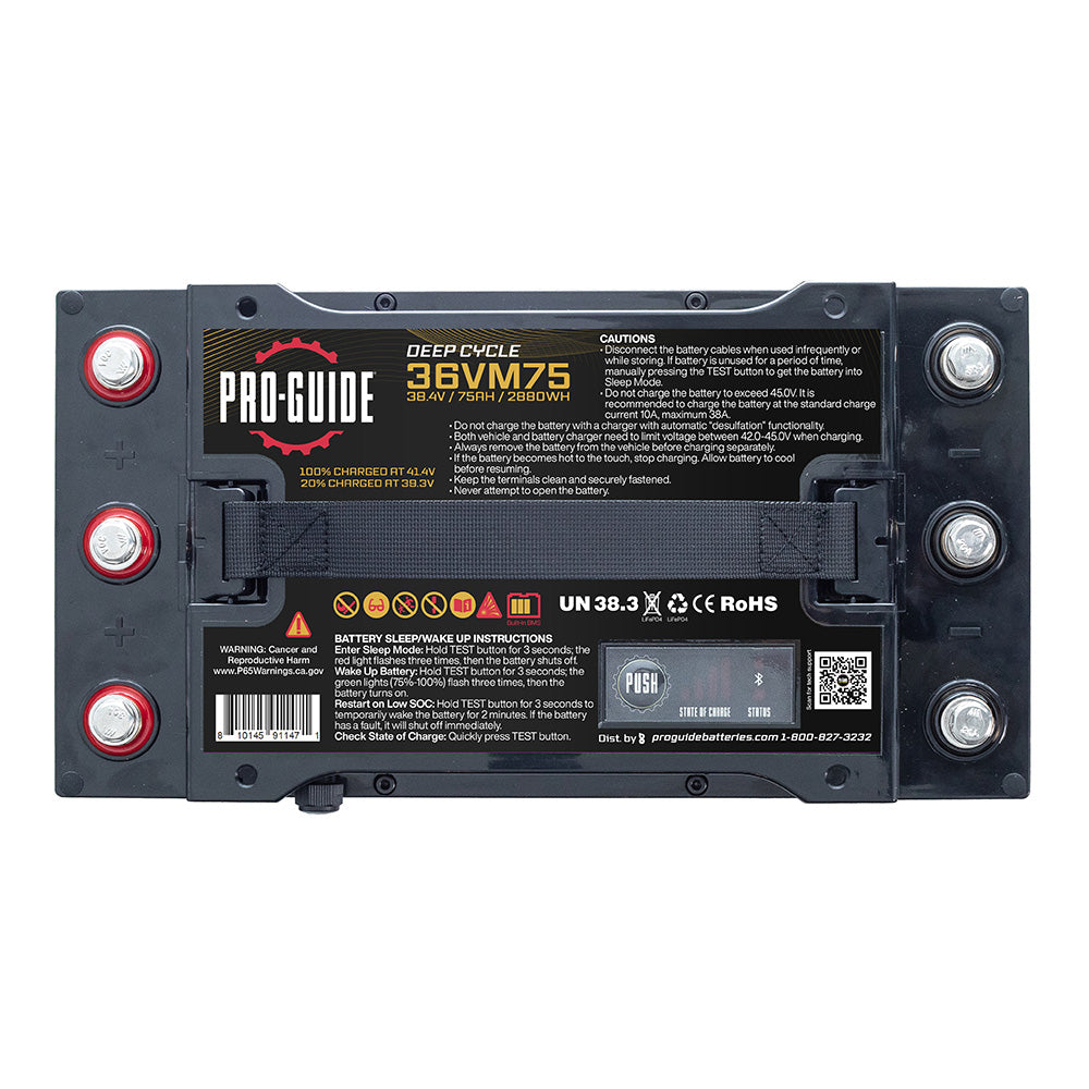 Pro-Guide Alpha Series Lithium Battery - 36V - 75AH - Group 31 (Tall) [36VM75]