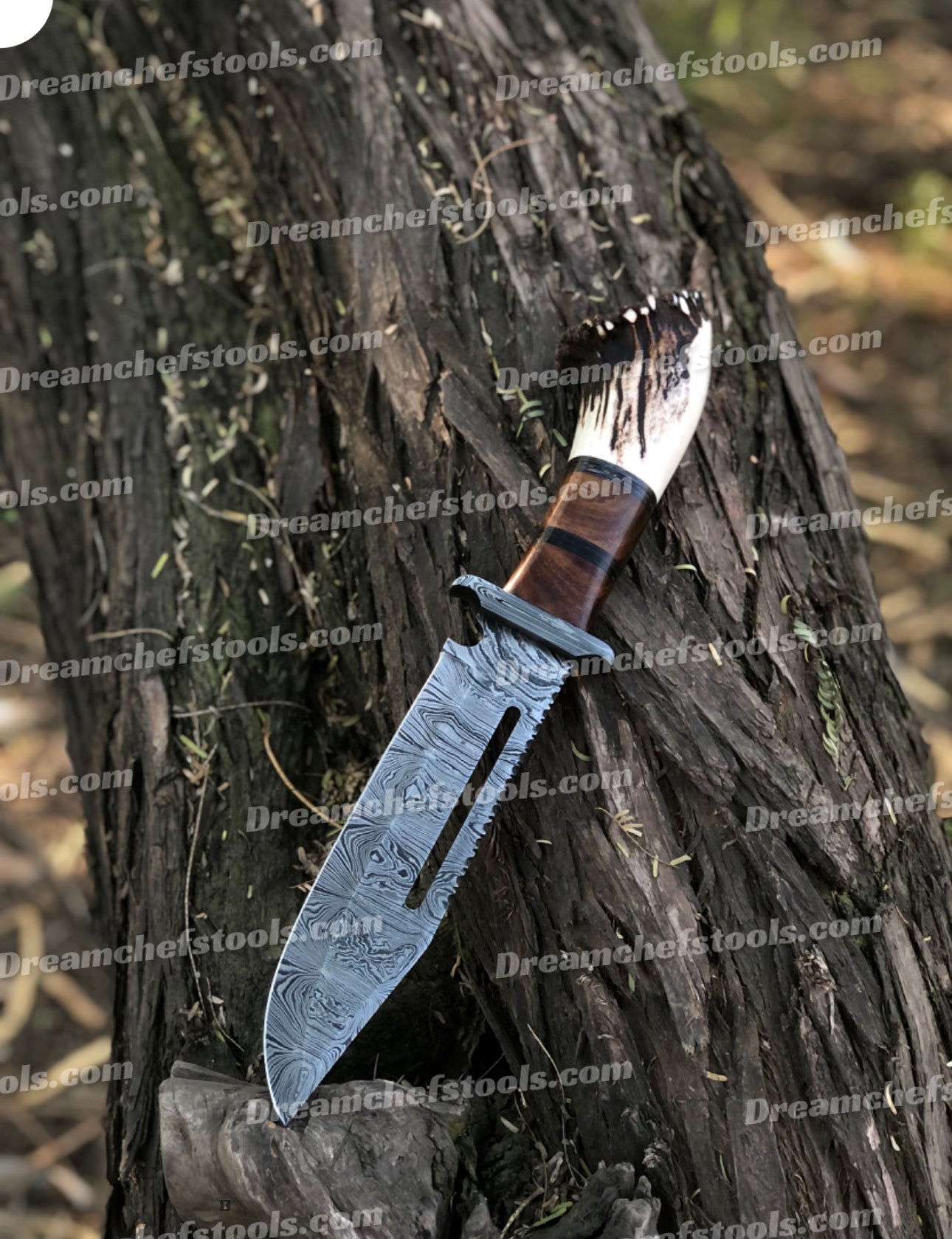 15" Handmade Damascus Steel Bowie Knife – Full Tang with Stag Crown Antler & Rosewood Handle, Damascus Steel Guard, Includes Leather Sheath