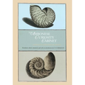 Ambonese Curiosity Cabinet - Hardcover
