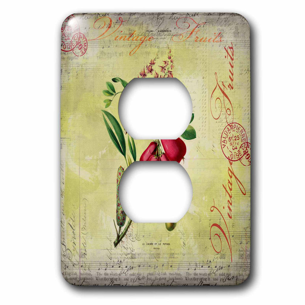 3dRose Vintage Illustration with Red Fruits and Text Elements - Light Switch Covers (LSP_325610)