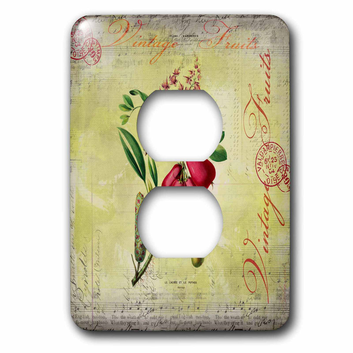 3dRose Vintage Illustration with Red Fruits and Text Elements - Light Switch Covers (LSP_325610)