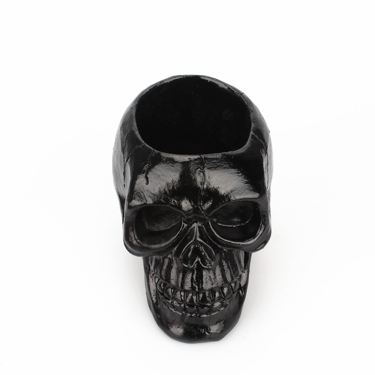 Black Skull Storage Pen Holder for Human Skull Makeup Pen