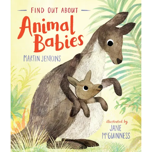 Find Out about Animal Babies - Hardcover