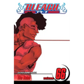 Bleach, Vol. 66: Sorry I Am Strong - Paperback