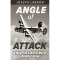 Angle of Attack - Paperback