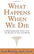 What Happens When We Die?: A Groundbreaking Study into the N