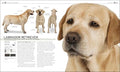 The Complete Dog Breed Book, New Edition