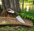 Damascus Steel Fixed Blade Knife