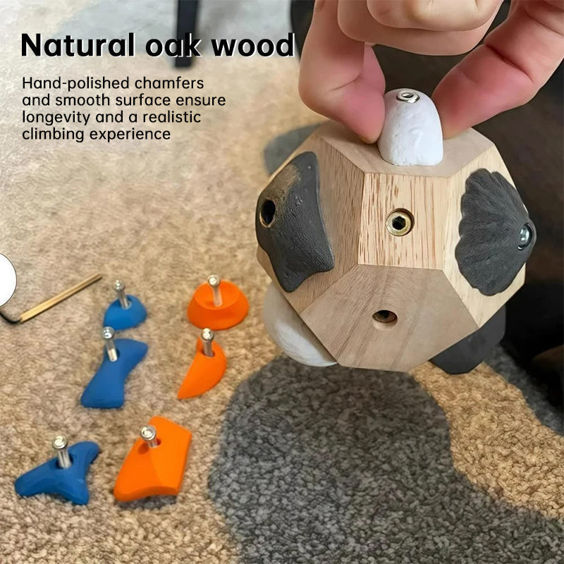 Handmade Boulder: Climbing Support, Strength Building, Exact Decor, Gift