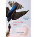 Never-Ending Birds: Poems - Paperback