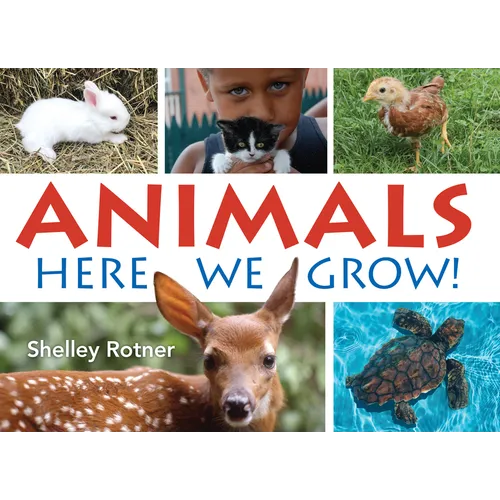 Animals!: Here We Grow - Paperback