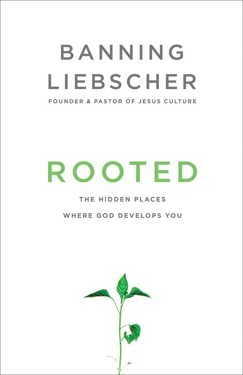 Invitation to Solitude and Silence: Experiencing Gods Transforming Presence