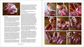 Buck, Buck, Moose: Recipes and Techniques for Cooking Deer,