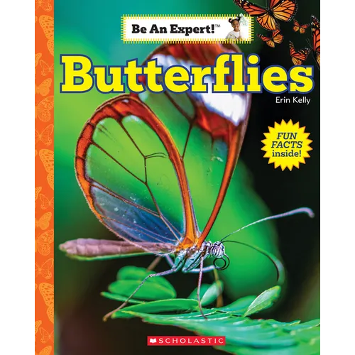 Butterflies (Be an Expert!) - Paperback