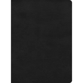 CSB Apologetics Study Bible, Black Leathertouch - Imitation Leather