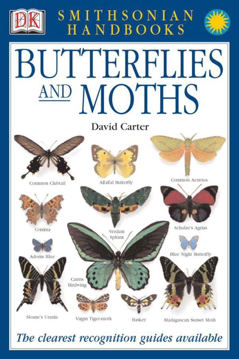 Butterflies & Moths: The Clearest Recognition Guide Available (DK Smithsonian Handbook)