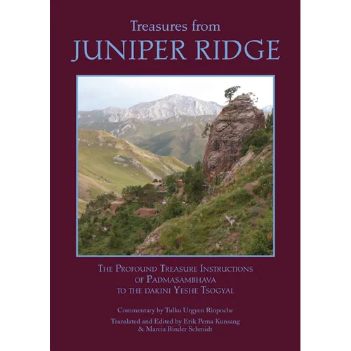 Treasures from Juniper Ridge - Paperback