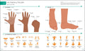 Spanish - English Illustrated Dictionary: A Bilingual Visual