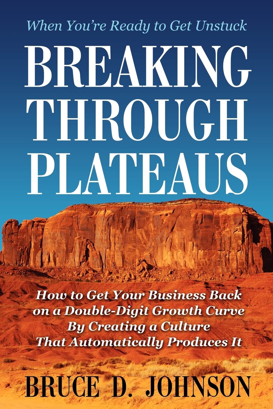 Breaking Through Plateaus: How to Get Your Business Back on