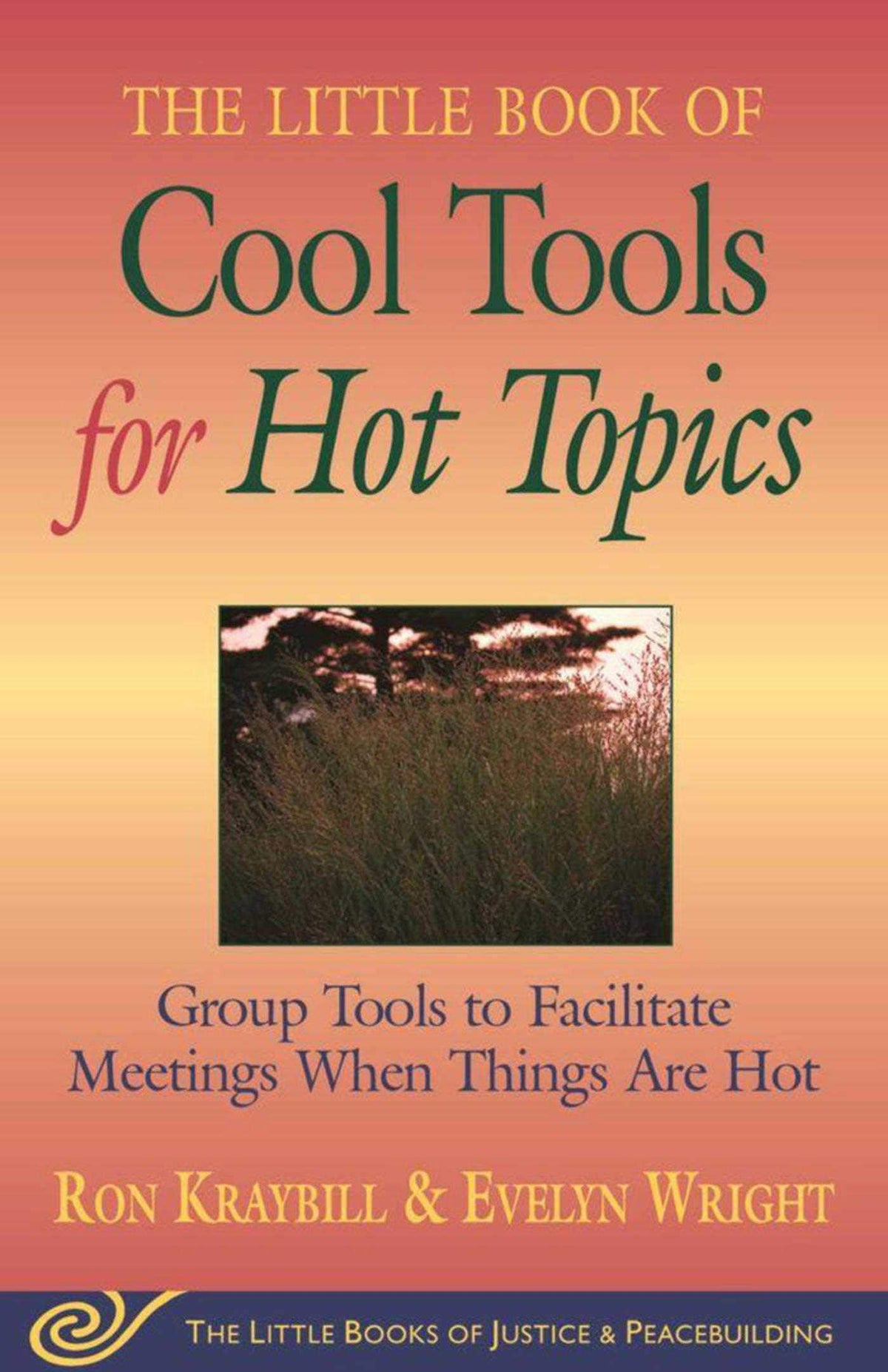 Cool Tools for Hot Topics: Group Tools to Facilitate Meeting