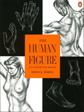 The Human Figure: An Anatomy for Artists by David K. Rubins