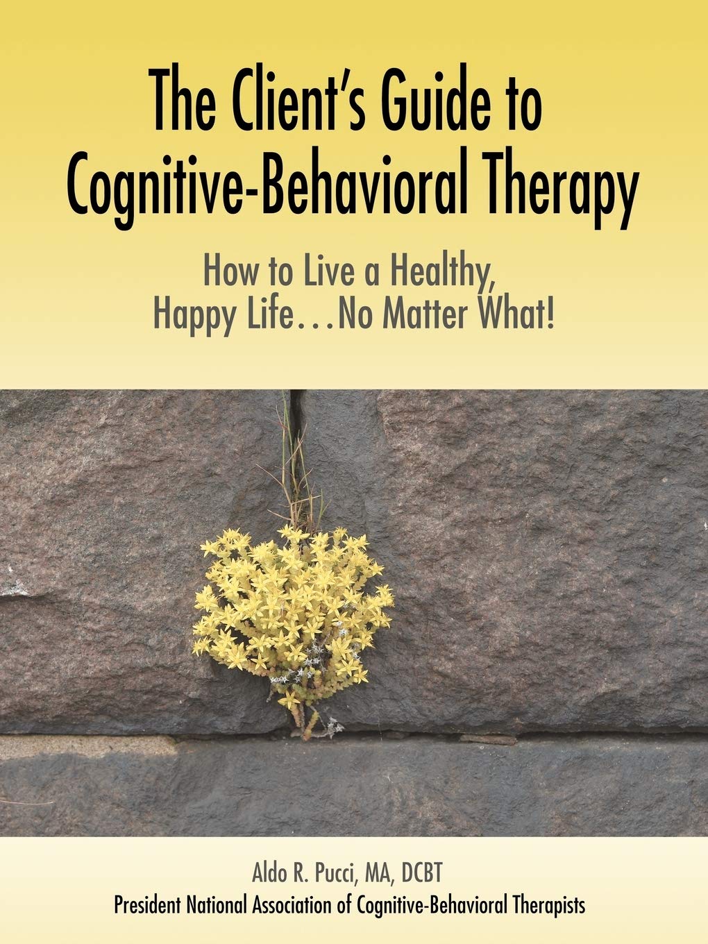 The Client's Guide to Cognitive-Behavioral Therapy: How to L