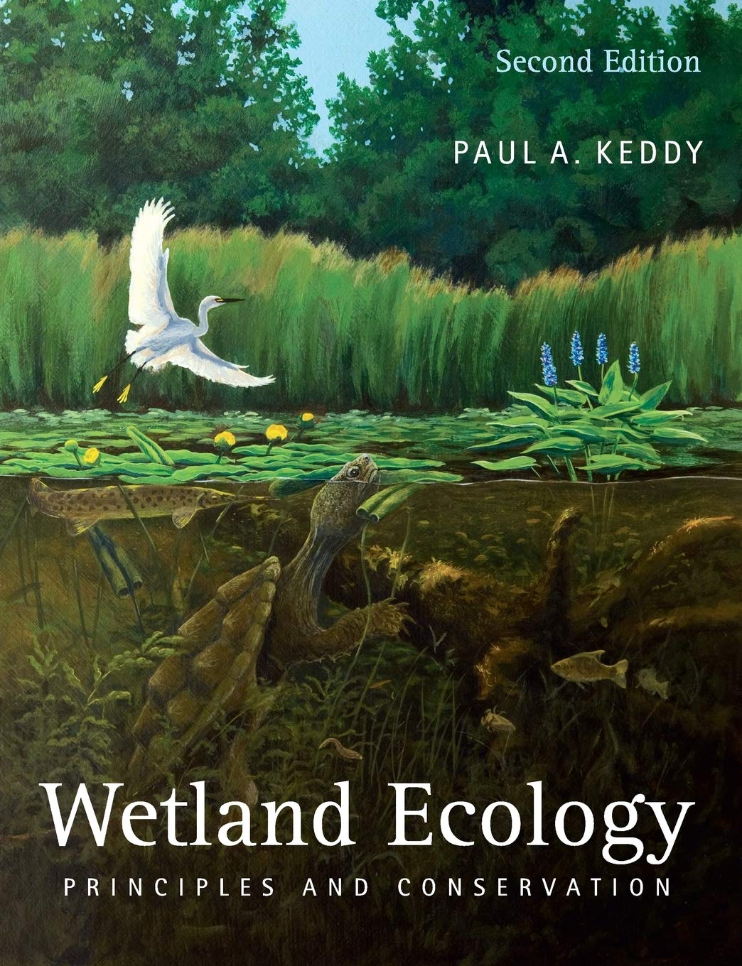 Wetland Ecology: Principles and Conservation by Keddy, Paul