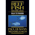 Reef Fish Identification: Baja to Panama - Hardcover