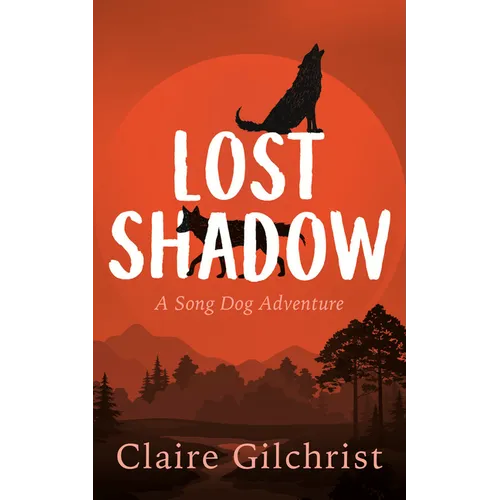 Lost Shadow - Paperback