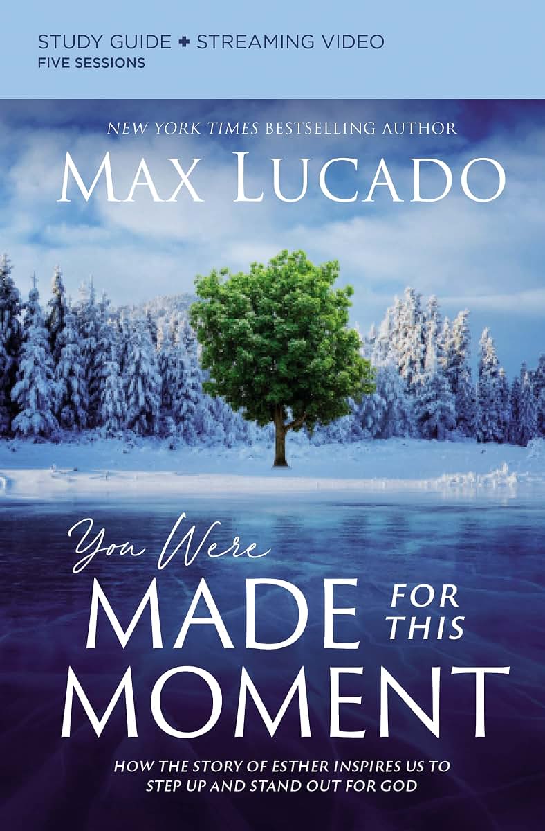 You Were Made for This Moment Bible Study Guide plus Streami