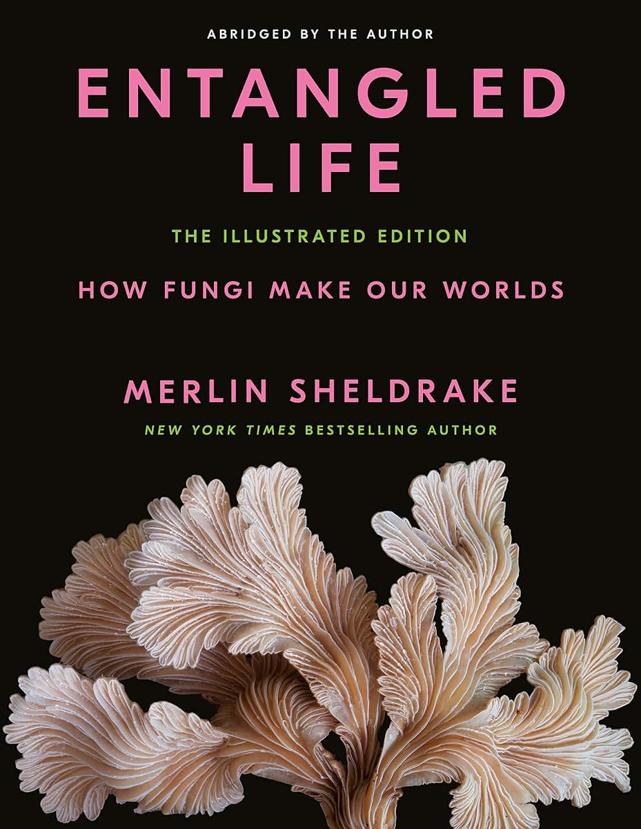 Entangled Life: The Illustrated Edition: How Fungi Make Our