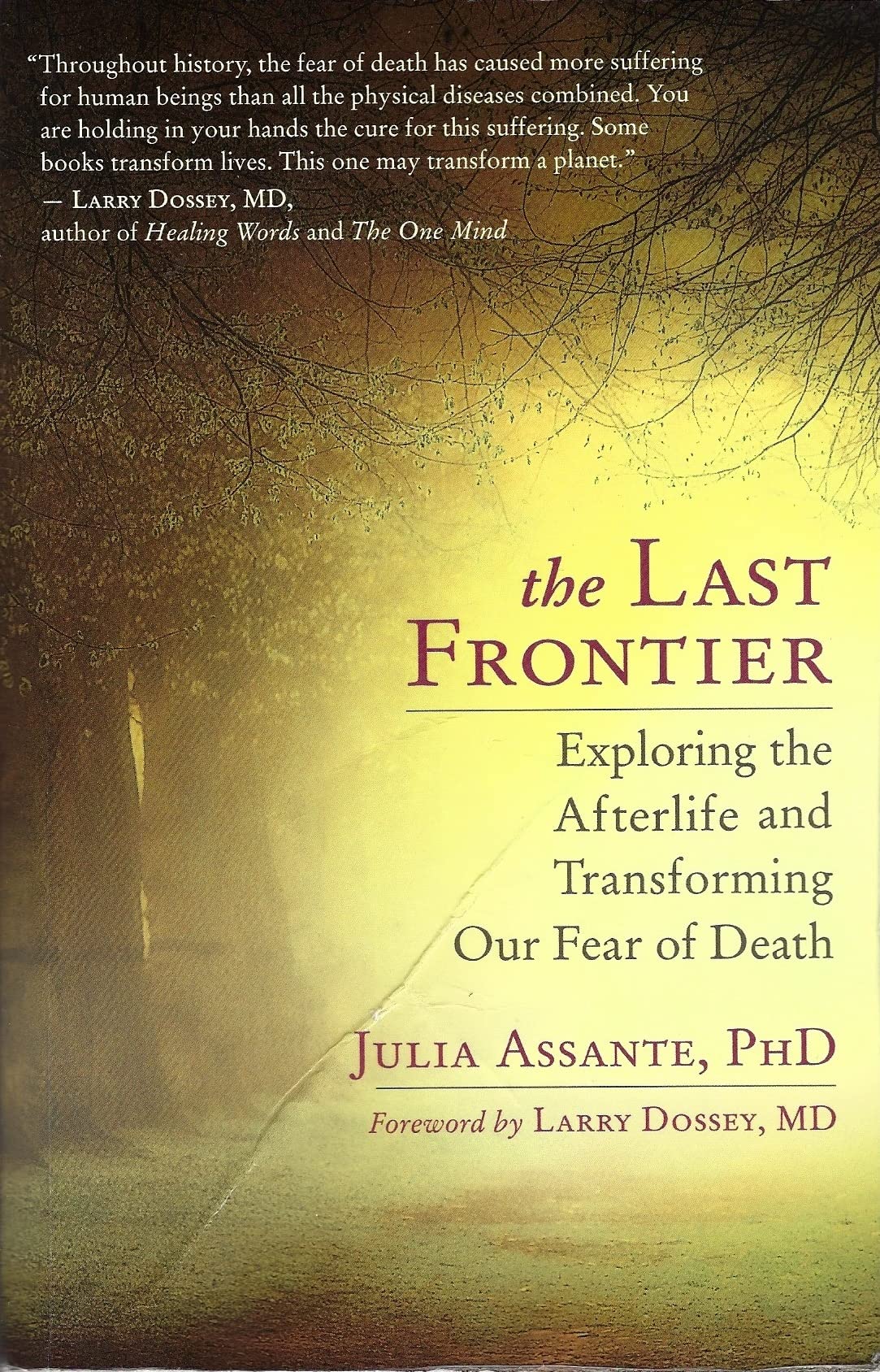 The Last Frontier: Exploring the Afterlife and Transforming