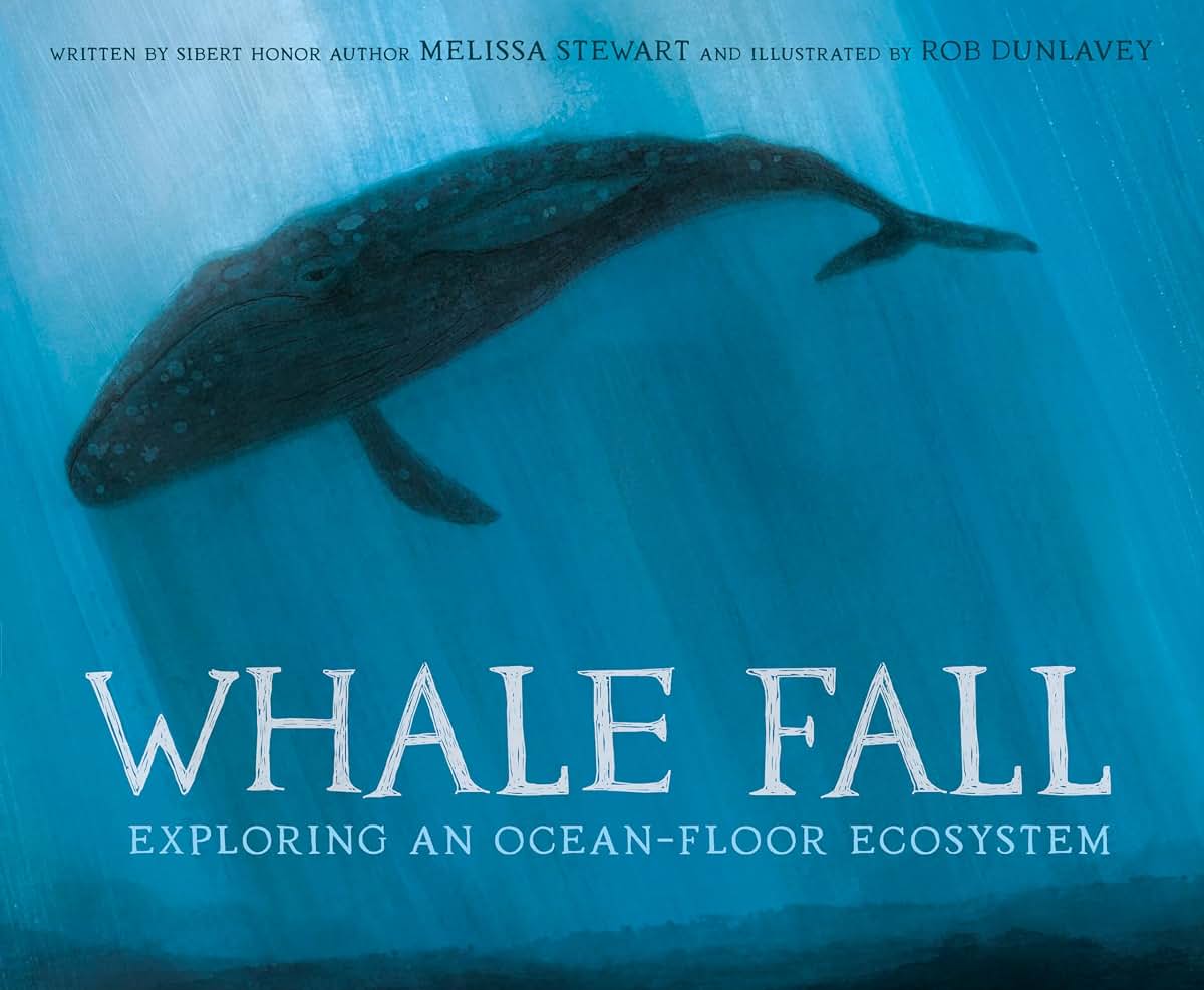 Whale Fall: Exploring an Ocean-Floor Ecosystem by Stewart, M