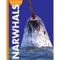 Curious about Narwhals - Paperback