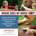 Where Does My Horse Hurt? A Hands-On Guide to Evaluating Equine Pain