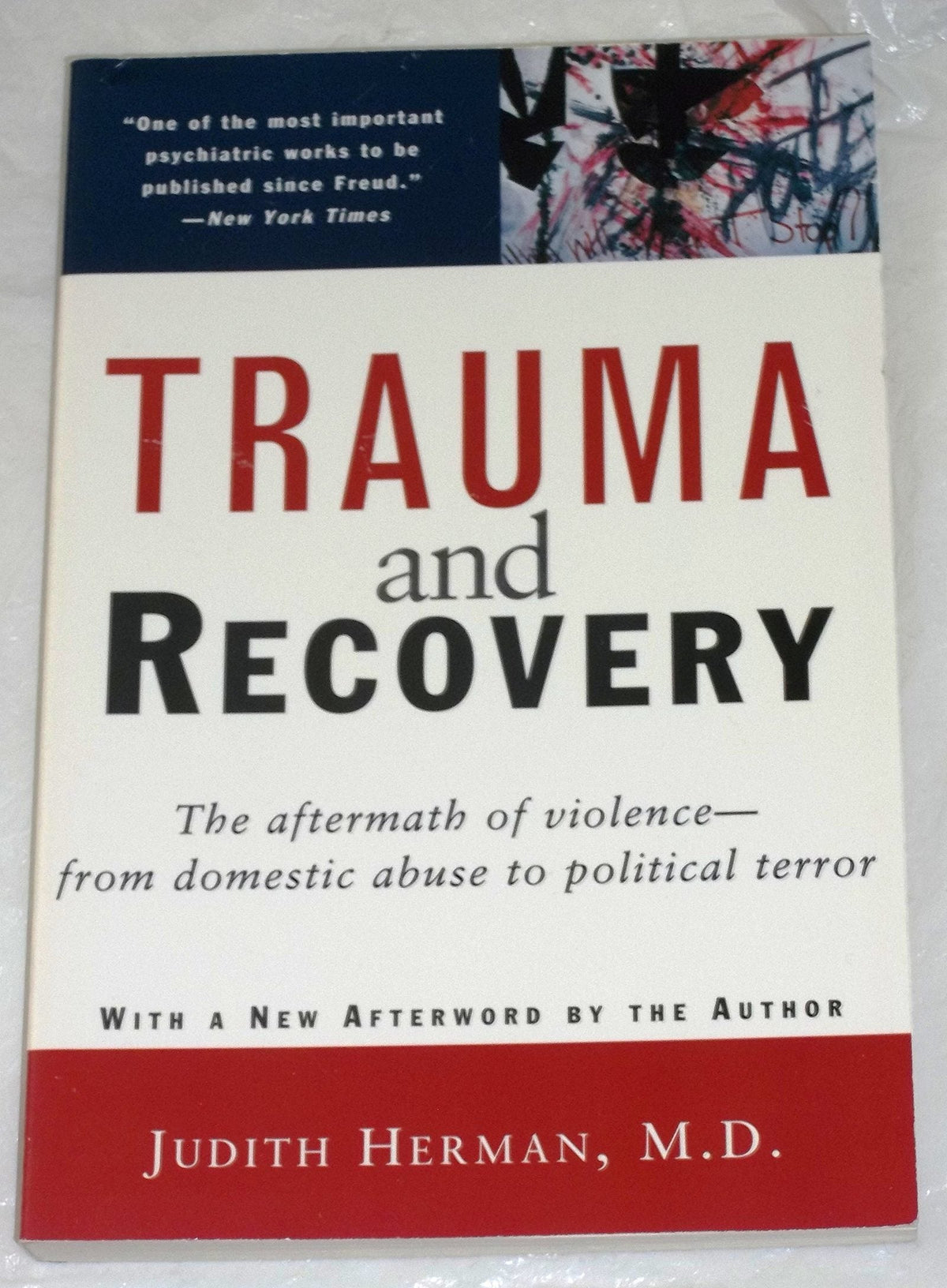 Trauma and Recovery: The Aftermath of Violence