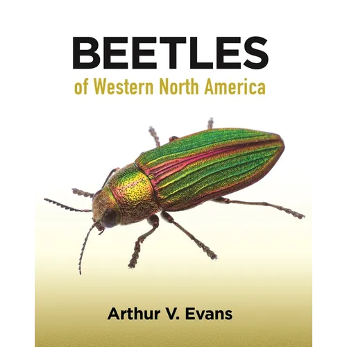 Beetles of Western North America - Paperback