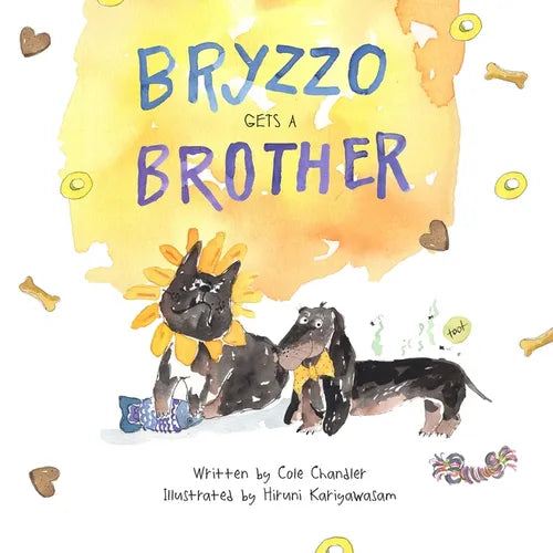 Bryzzo Gets a Brother - Paperback