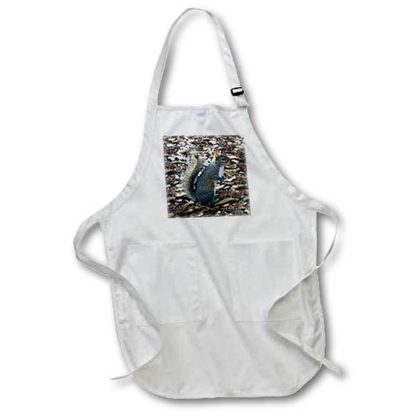 3dRose Wild animals - Gray Squirrel - Aprons (apr_1016)
