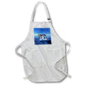3dRose Dolphins - Dolphins - Aprons (apr_308)