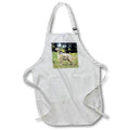Apron - English Setter Dogs English Setter