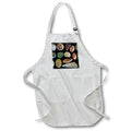 Apron - Washington State, Seabeck. Display of shells and rocks. Shells