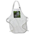 Apron - Washington State, Olympic N.P. Dungeness River rapids. Streams