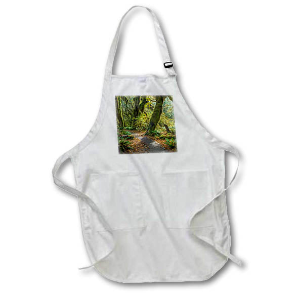 Apron - Washington State, Olympic N.P.Trail through mossy forest. Forests