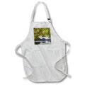 Apron - Washington State, Olympic N.P. Bigleaf maple tree and lake. Lakes