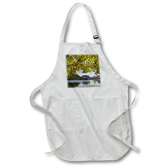 Apron - Washington State, Olympic N.P. Bigleaf maple tree and lake. Lakes