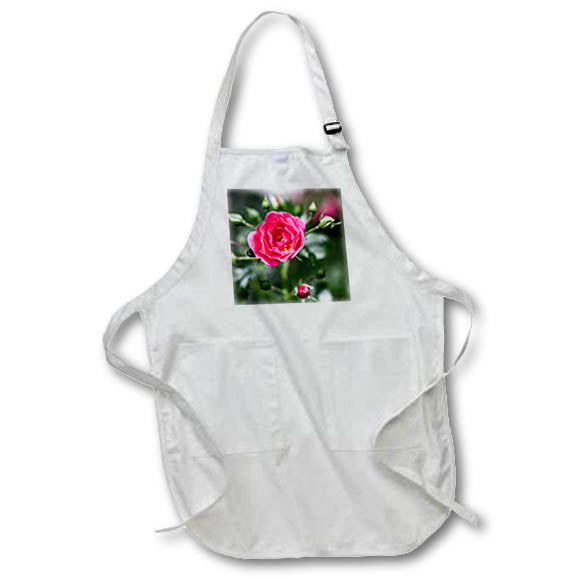 Apron - Hardy roses and rosebuds. Flower