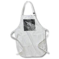 Apron - Western sword fern. Leaves