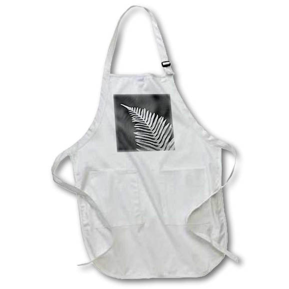 Apron - Western sword fern. Leaves